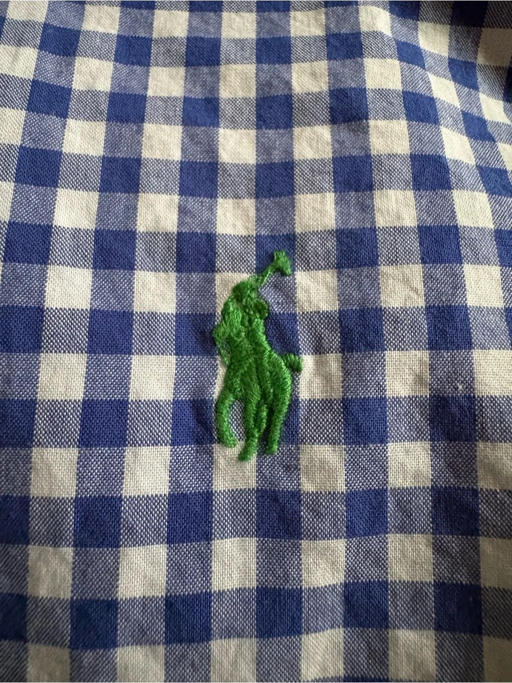 Ralph Lauren Blue and White Gingham Button-Down Shirt with Green Pony